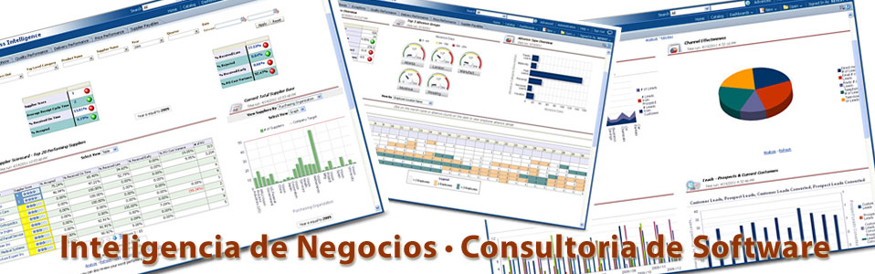 PORTALES, COTIZADORES, FRONT_END, INTELIGENCIA DE
NEGOCIOS, CONSULTORIA DE SOFTWARE.